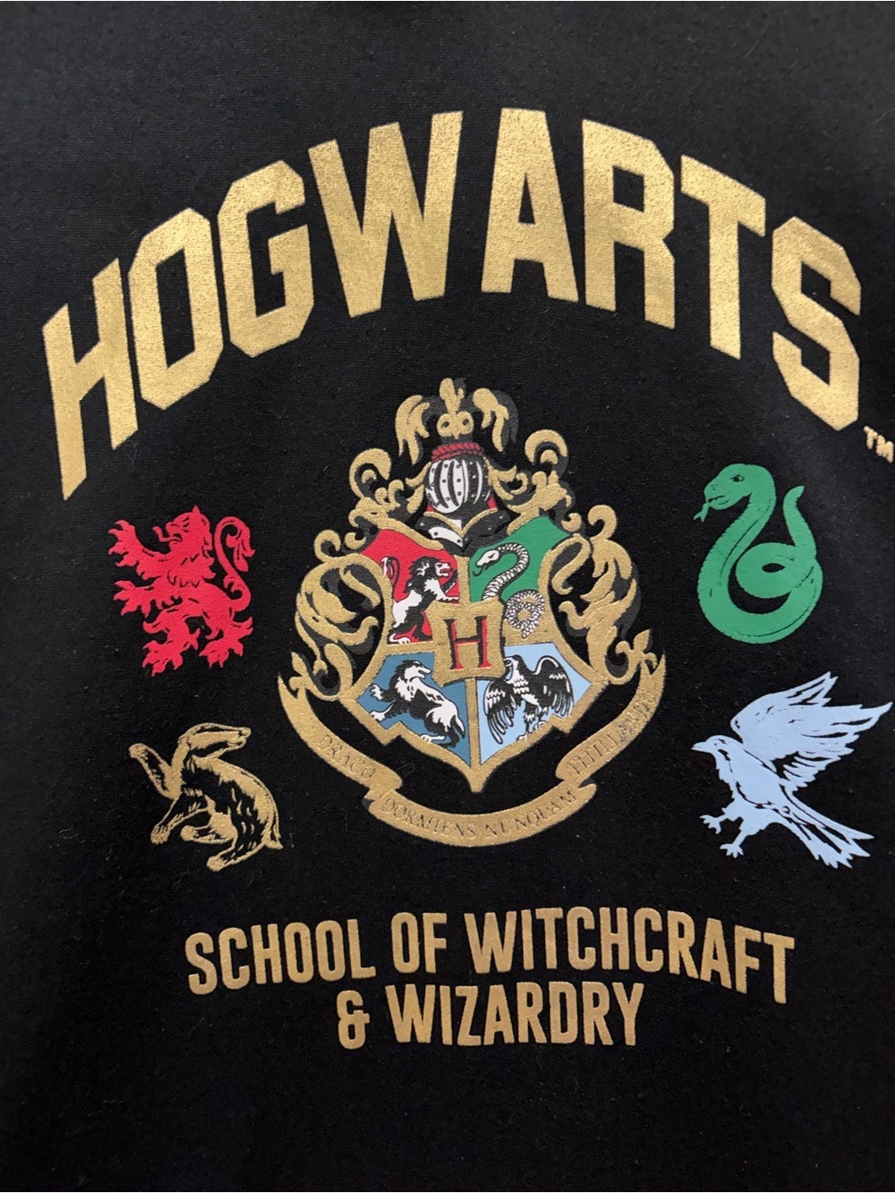 Harry Potter Hogwarts Black Pullover Hoodie with Crest and House Emblems - Picture 5 of 11